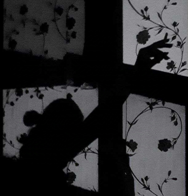 ウミガメの赤子でもないのにそっちに導かれるのは間違いだ